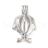 Alloy Bead Cage Pendants FIND-M012-01N-P-1
