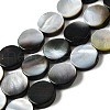 Natural Black Lip Shell Beads Strands BSHE-D300-05-12mm-1