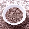 MIYUKI Delica Beads X-SEED-J020-DB1879-2