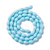 Faceted Glass Beads Strands GLAA-E037-01G-2