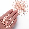 6/0 Glass Seed Beads SEED-T005-14-B02-5