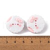 Resin Cabochons OACR-U002-02B-3