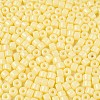 Opaque Baking Paint Glass Seed Beads SEED-T008-02B-3