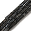 Natural Larvikite Beads Strands G-D464-28-1