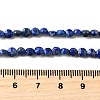 Natural Lapis Lazuli Beads Strands G-C179-A4mm-06-5