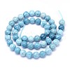 Natural Gemstone Beads Strands G-L367-01-10mm-3