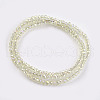 Electroplate Glass Beads Strands EGLA-J025-F24-2
