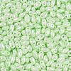Opaque Colours Luster Glass Seed Beads SEED-T006-02I-2