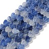 Dyed & Heated Natural Blue Aventurine Beads Strands G-M403-A33-02-1