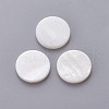 Freshwater Shell Beads SHEL-P076-02-1