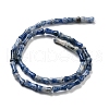 Natural Blue Spot Jasper Beads Strands G-Q178-A16-01-3