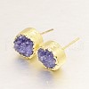 Flat Round Natural Druzy Agate Stud Earrings EJEW-L168-05-2