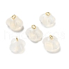 Natural Agate Flower Charms G-G179-03-1