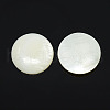 Half Round/Dome Freshwater Shell Cabochon PBB236Y-10mm-1
