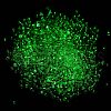 Luminous Glass Seed Beads SEED-A033-07I-5