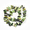 Natural Serpentine Beads Strands G-T140-62-2