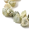 Natural Prehnite Beads Strands G-S386-B03-4