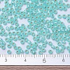 MIYUKI Round Rocailles Beads X-SEED-G007-RR0571-4