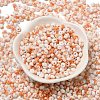 Baking Paint Glass Seed Beads SEED-F006-01A-10-2