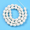 Natural Cultured Freshwater Pearl Beads Strands PEAR-N012-07X-4