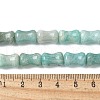 Natural Amazoniten Beads Strands G-M445-B01-01-5