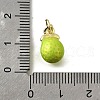 Brass with Enamel Charms KK-Q066-01K-G-3