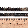 Natural Biotite Beads Strands G-T140-69B-5