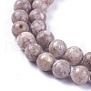 Natural Maifanite/Maifan Stone Beads Strands G-L500-03A-6mm-2