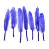 Goose Feather Costume Accessories FIND-Q056-18-1