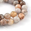 Natural Bamboo Leaf Agate Round Bead Strands G-M248-10mm-04-2