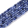 Natural Sodalite Beads Strands X-G-G139-A07-02-1