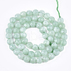 Natural Myanmar Jade/Burmese Jade Beads Strands G-T108-48-2