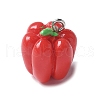 Resin Iron Pendants RESI-D280-05-1