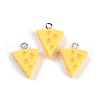 Resin Pendants RESI-I061-01A-1