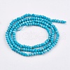 Dyed Natural Turquoise Beads Strands TURQ-F010-05-1