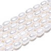 Natural Cultured Freshwater Pearl Beads Strands PEAR-N012-03E-3
