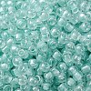 (Defective Closeout Sale: Fading) Glass Seed Beads SEED-XCP0001-30-3