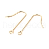 316 Surgical Stainless Steel Earring Hooks STAS-E027-02B-G-2
