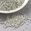 MIYUKI Delica Beads X-SEED-J020-DB0035-1