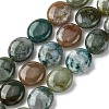 Natural Indian Agate Beads Strands G-K365-B19-03-2