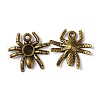 Halloween Jewelry Tibetan Style Alloy Pendants MLF10315Y-NF-1