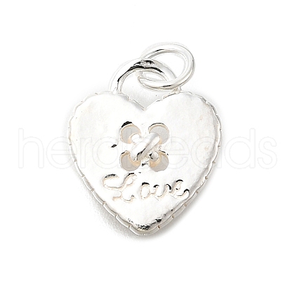 925 Sterling Silver Charms STER-Q003-01H-S-1