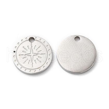 Non-Tarnish 316L Surgical Stainless Steel Charms STAS-H213-55P-1