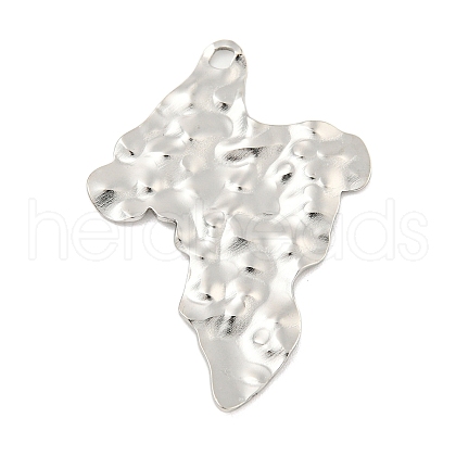 Non-Tarnish 304 Stainless Steel Pendants STAS-M001-13P-1