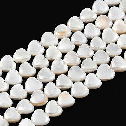 Natural Freshwater Shell Beads Strands SHEL-N026-220A-1