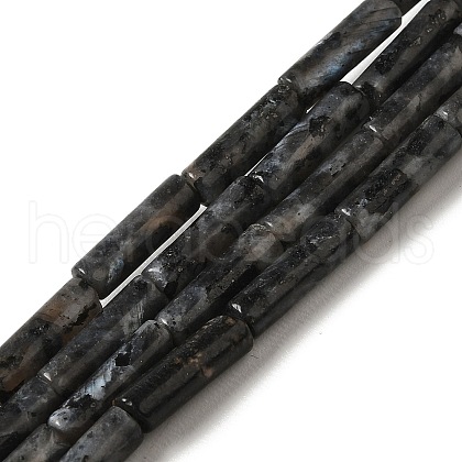 Natural Larvikite Beads Strands G-D464-28-1