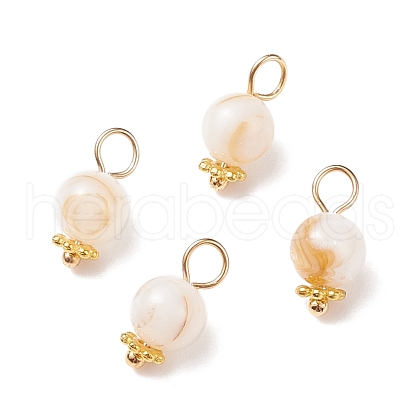 Natural Freshwater Shell Charms PALLOY-JF01657-1