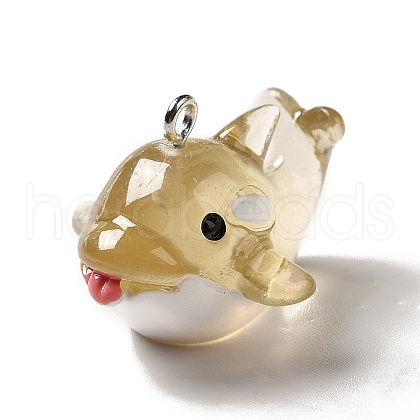 Marine Series Transparent Resin Pendants RESI-E031-02P-12-1