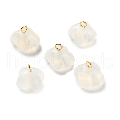 Natural Agate Flower Charms G-G179-03-1