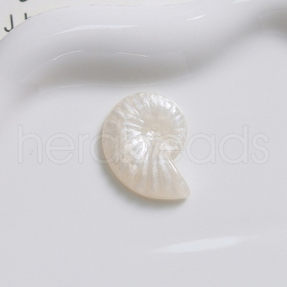 Transparent Resin Cabochons CRES-D306-02-1